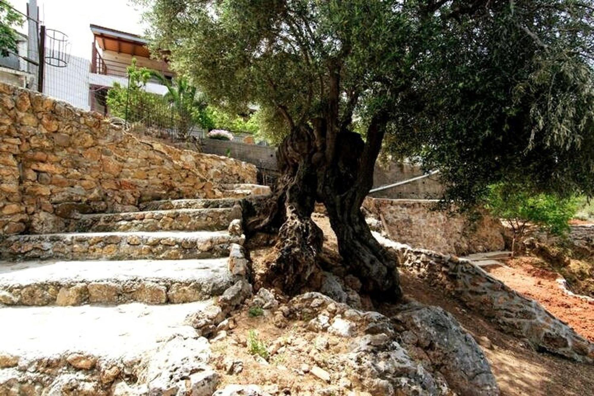 Aoria Traditional House With Stuning Mountain View Loulos Buitenkant foto
